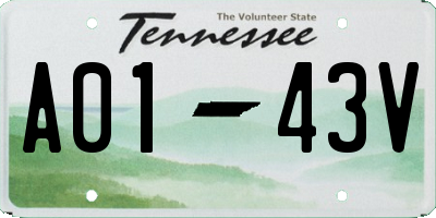 TN license plate A0143V