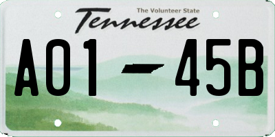 TN license plate A0145B