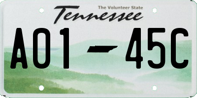 TN license plate A0145C