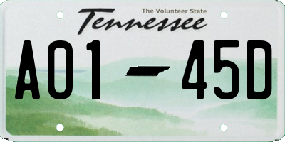 TN license plate A0145D