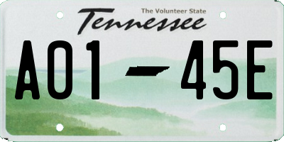 TN license plate A0145E