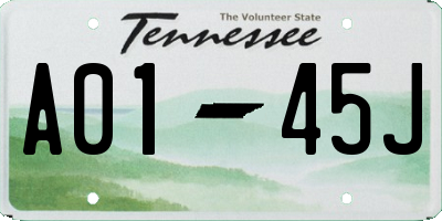 TN license plate A0145J