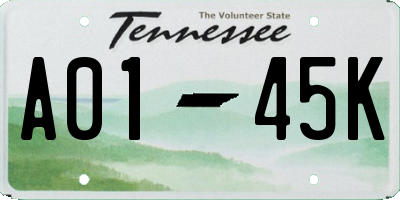 TN license plate A0145K