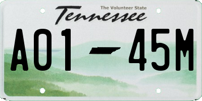 TN license plate A0145M