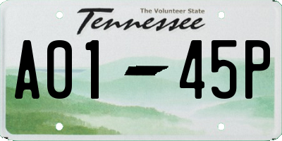 TN license plate A0145P