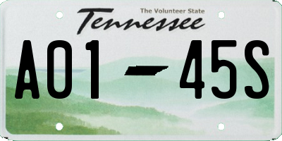 TN license plate A0145S
