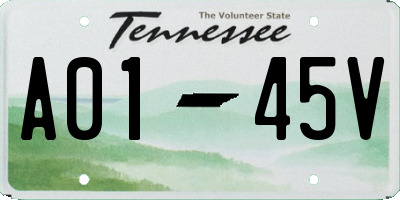 TN license plate A0145V