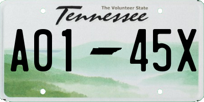 TN license plate A0145X