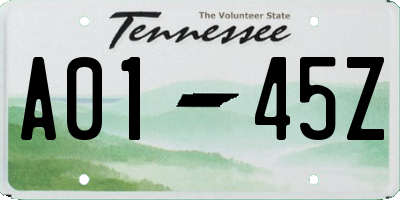 TN license plate A0145Z