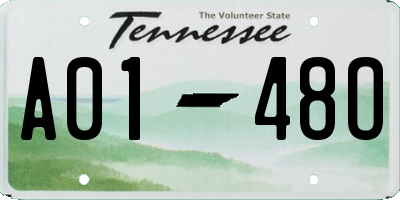 TN license plate A0148O