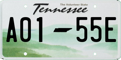 TN license plate A0155E