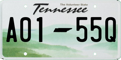 TN license plate A0155Q