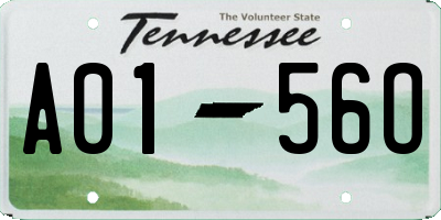 TN license plate A0156O