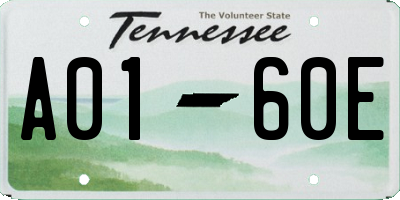 TN license plate A0160E
