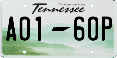 TN license plate A0160P