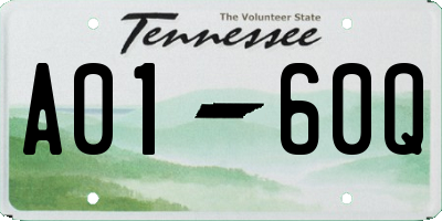 TN license plate A0160Q