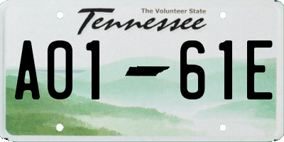 TN license plate A0161E