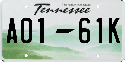 TN license plate A0161K