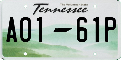 TN license plate A0161P