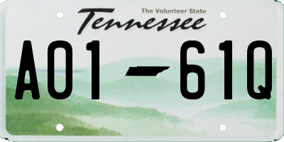 TN license plate A0161Q