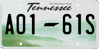 TN license plate A0161S