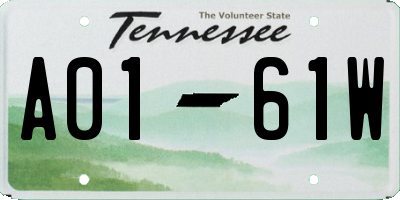 TN license plate A0161W