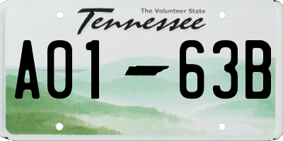 TN license plate A0163B