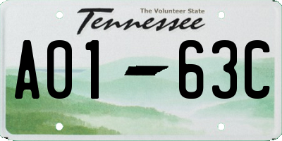 TN license plate A0163C