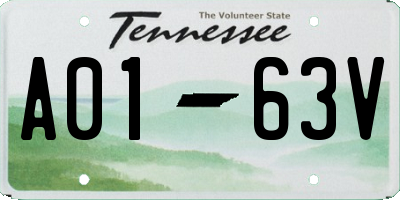 TN license plate A0163V