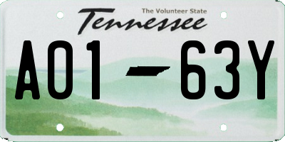 TN license plate A0163Y