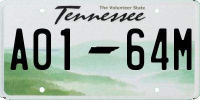 TN license plate A0164M