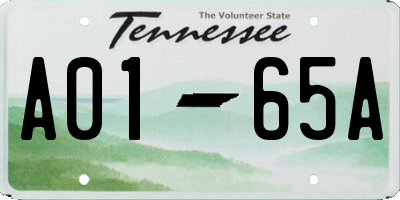 TN license plate A0165A