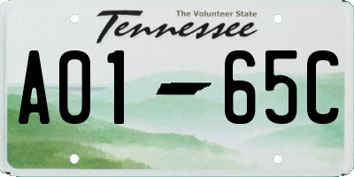 TN license plate A0165C