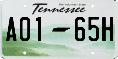 TN license plate A0165H