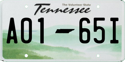 TN license plate A0165I