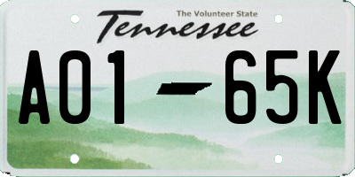TN license plate A0165K