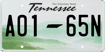 TN license plate A0165N