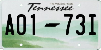 TN license plate A0173I