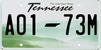 TN license plate A0173M