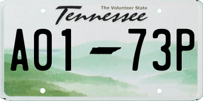 TN license plate A0173P