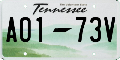 TN license plate A0173V