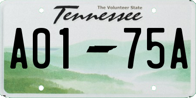 TN license plate A0175A