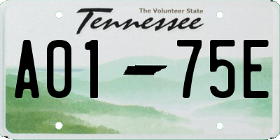 TN license plate A0175E