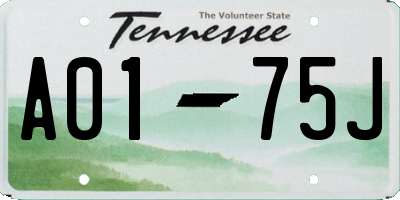 TN license plate A0175J