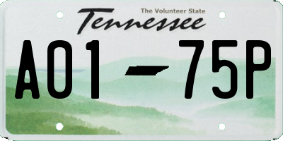 TN license plate A0175P