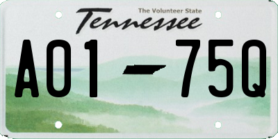 TN license plate A0175Q