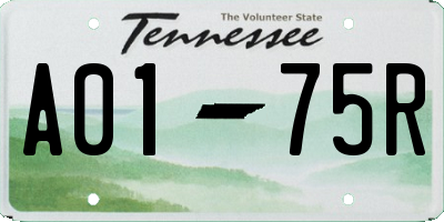 TN license plate A0175R