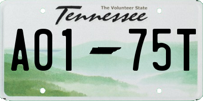 TN license plate A0175T