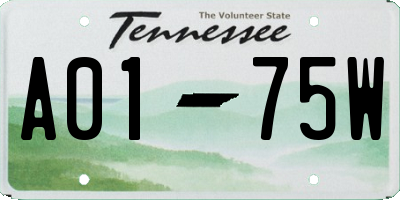 TN license plate A0175W