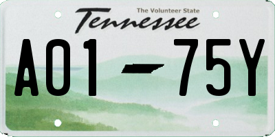 TN license plate A0175Y